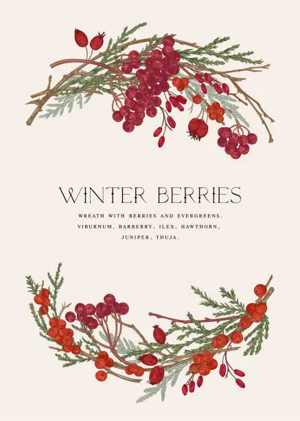 Vector illustration of Card with a wreath.  Winter berries.