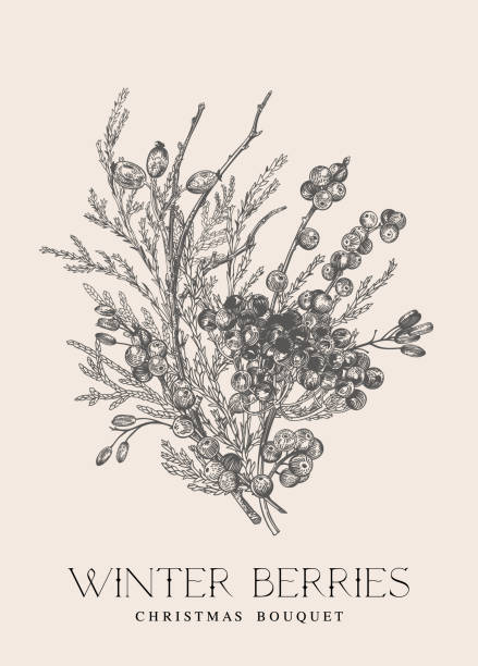 수분이 많은 가지와 열매가 있는 빈티지 꽃다발. - hawthorn flower old fashioned botany stock illustrations