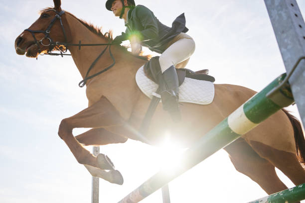 Shot of a young rider jumping over a hurdle on her horse Galloping ahead equestrian event photos stock pictures, royalty-free photos & images