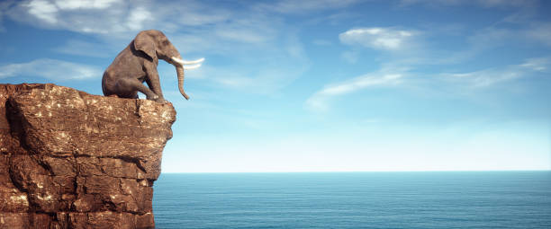 istock Elephant sits on a rock cliff admiring the ocean. This is a 3d render illustration 1356507918