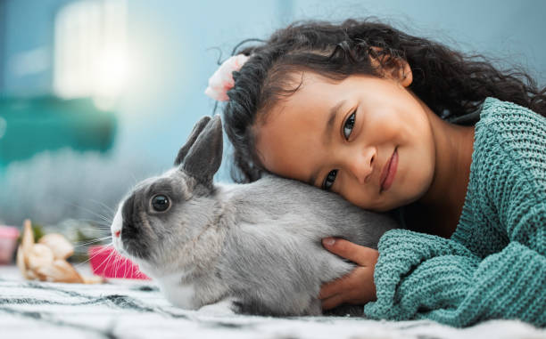 scatto di un'adorabile bambina che si lega al suo coniglio domestico a casa - rabbit hairy gray animal foto e immagini stock