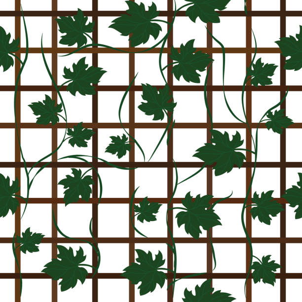 茶色の色の木製グリッドフレームを登る緑の色のつるの葉のシームレスな繰り返しパターン - wood tree textured wood grain点のイラスト素材／クリップアート素材／マンガ素材／アイコン素材