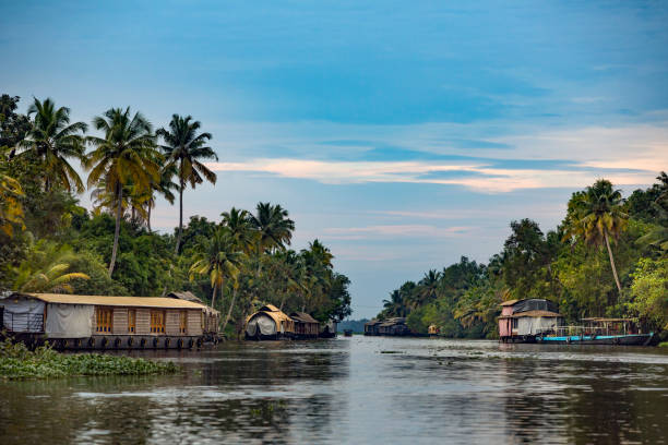 istock House boat under blue sky from  Kerala Backwaters 1356512179