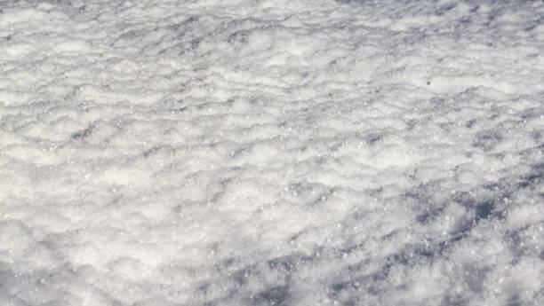 istock texture of winter snow background close-up 1356514098