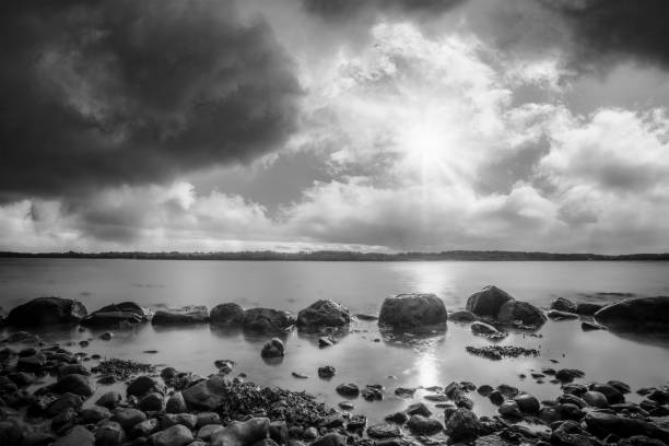 istock Rocks in the water by the shore 1356515678