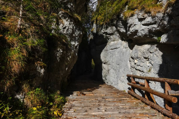 istock wooden bridge over a creek through a narrow passage between rock faces 1356515844
