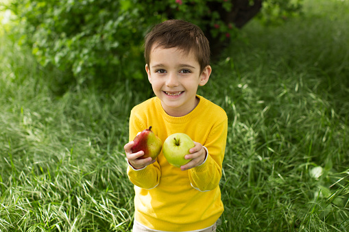 istock Cute little boy picking apples in a green grass background at sunny day. Healthy nutrition. 1356519423