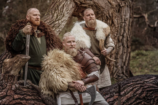 tre guerrieri vichinghi in una foresta autunnale - dutch culture netherlands history historical reenactment foto e immagini stock