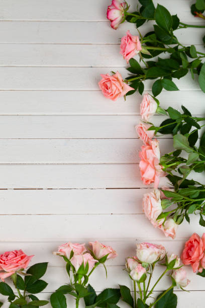 istock Pink roses on a light wooden background, place for your text. 1356524950