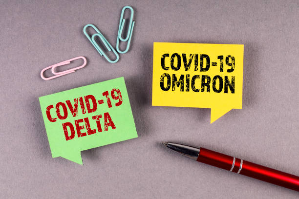 Covid-19 Delta and Omicron. Yellow and green speech bubble on a gray background Covid-19 Delta and Omicron. Yellow and green speech bubble on a gray background. delta stock pictures, royalty-free photos & images