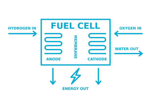 453 Fuel Cell Illustrations & Clip Art - iStock | Hydrogen fuel cell, Fuel  cell energy, Fuel cell car