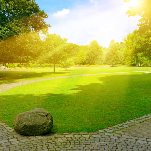 istock Bright sunbeams over beautiful meadow 1356537668