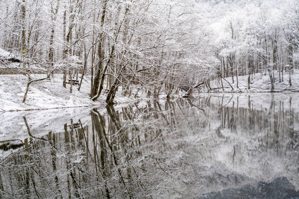 yedigöller in bolu in turkey in winter - woods reflection famous place standing water imagens e fotografias de stock