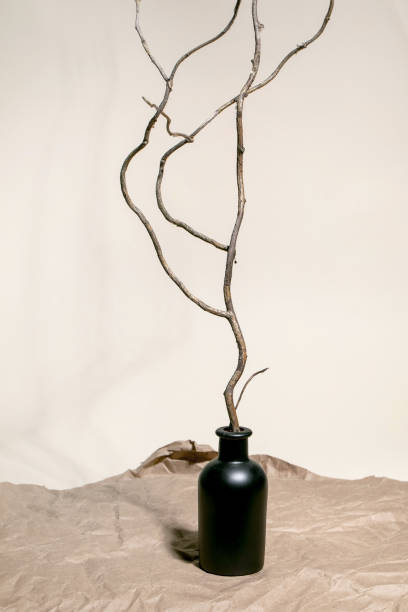 istock Dry wooden tree branch in black ceramic bottle 1356543043