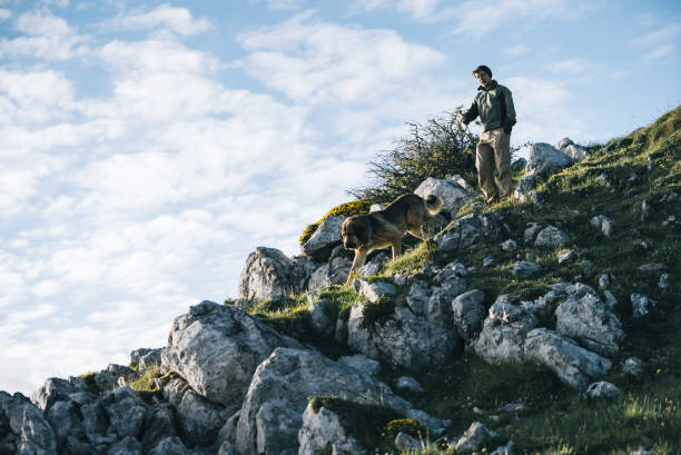 istock Young man and dog walk down mountain ridge 1356544937