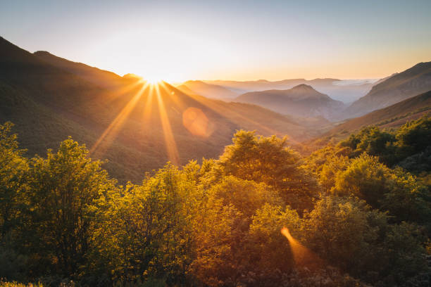 vista panorámica del sol saliendo sobre las montañas - growth tree spirituality tranquil scene fotografías e imágenes de stock