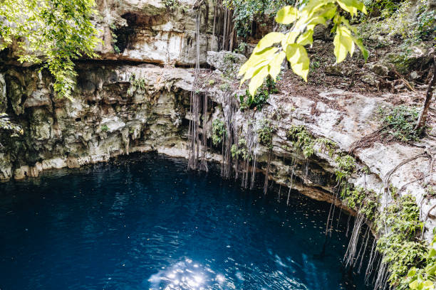 istock Aerial view of blue lagoon (cenote) in jungle 1356545200