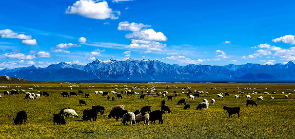 Khordil saridag hills