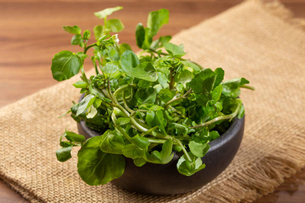 istock Green watercress in bowl on the table. 1356550396