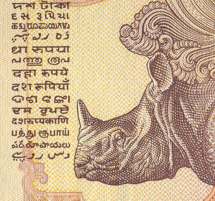 Indian Animal Pattern Design on Indian Banknote