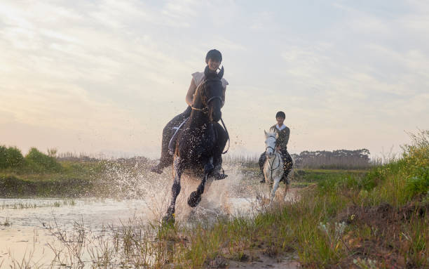 フィールドの外で彼らの馬に乗っている2人の若い女性のショット - riding horse for leisure ストックフォトと画像