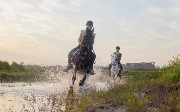 shot of two young woman riding their horses outside on a field - mounted imagens e fotografias de stock
