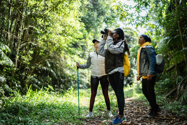 amigos usando binoculares en un bosque - autumn women park forest fotografías e imágenes de stock