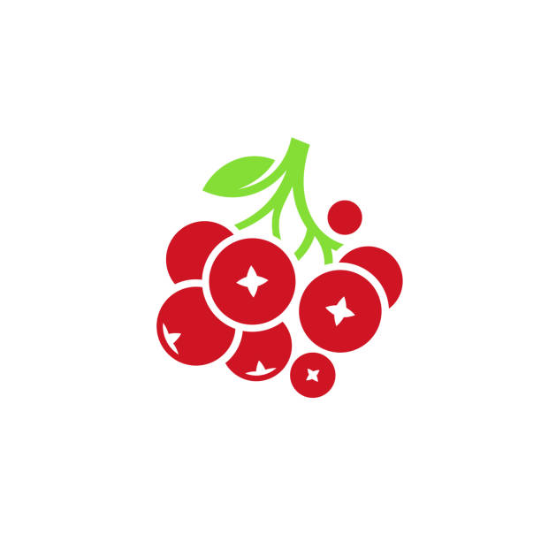 ikona żurawiny. świeże jagody z zielonymi liśćmi - cranberry stock illustrations