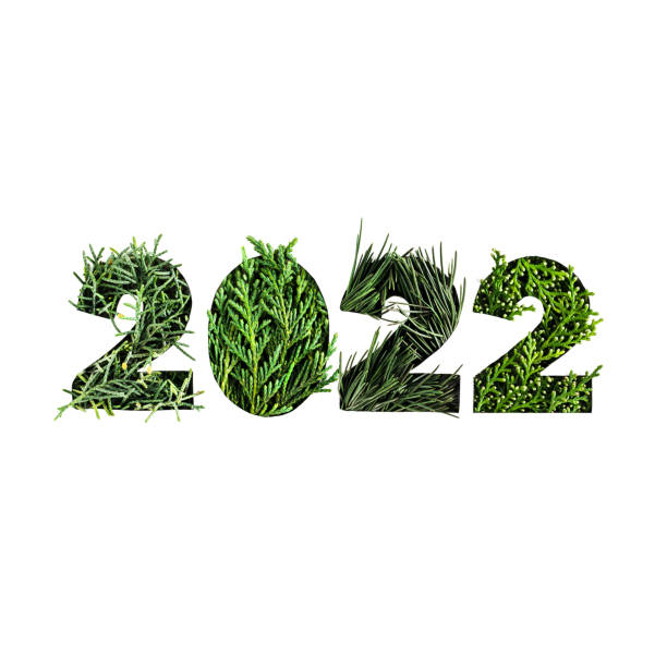 istock 2022 Christmas and New Year background with evergreen tree branches creative layout. Save nature eco flat lay concept. 1356560312