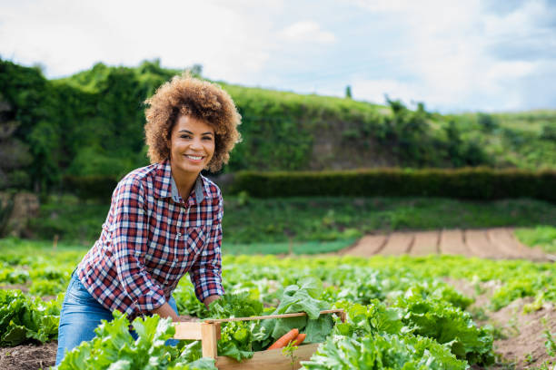 istock Woman in the vegetable field 1356566474