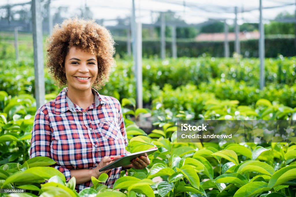 Woman growing plants using technology - digital tablet Agriculture Stock Photo