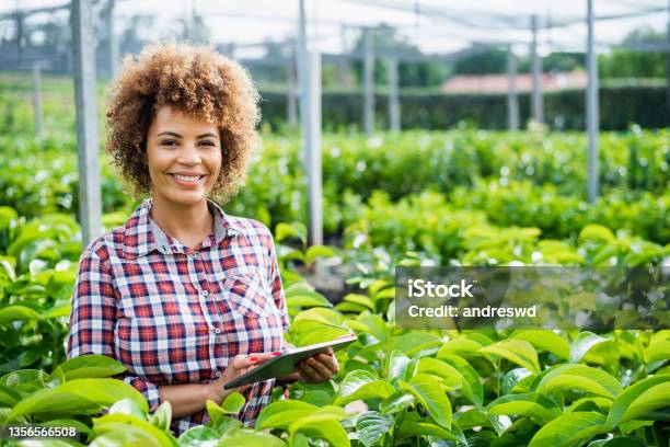 Woman Growing Plants Using Technology Digital Tablet Stock Photo - Download Image Now