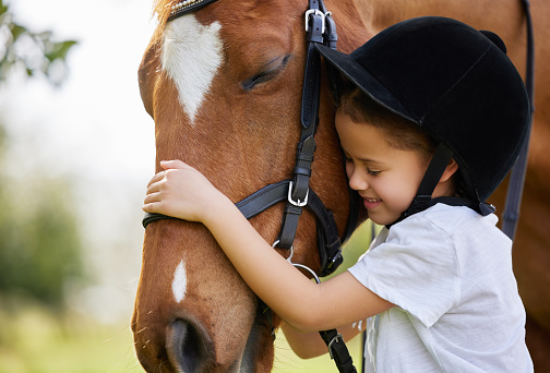 Young woman petting horse on a stable