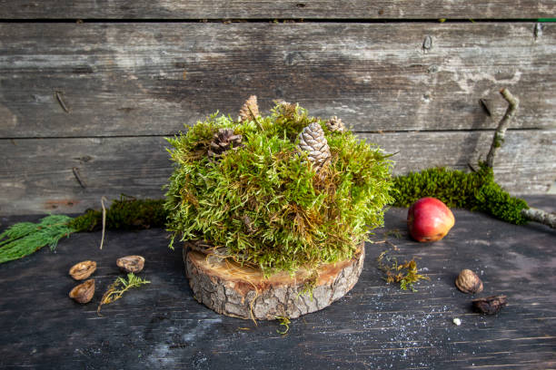 istock eco-decoration for the garden from forest moss and cones 1356575410