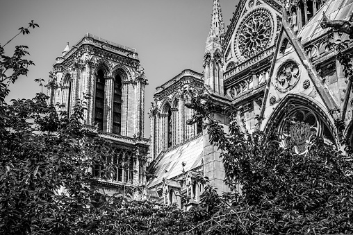 Church Steeple from Notre Dame Cathedral in Paris