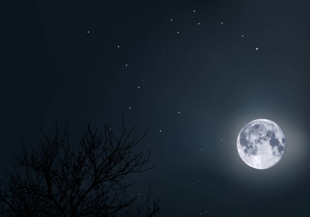 A moonlit sky, with the big bear and the North Star as a landmark, in the middle of space and the universe.