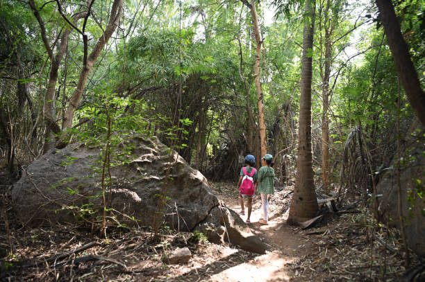 istock Two girls holding hands and walking through a dense forest 1356585717
