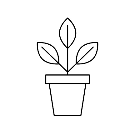 Nature growth concept icons on a Transparent background. There is NO white shape behind this icon so it’s easier to drop the .eps file into your projects.