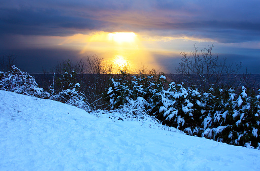 unique panorama from the snowy peaks of the mountains of the Apuan Alps to the coast of the Mediterranean sea of Versilia and the horizon between water and sky and the setting sun in tuscany