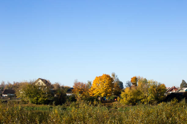 Autumn landscape, golden autumn and colorful sky