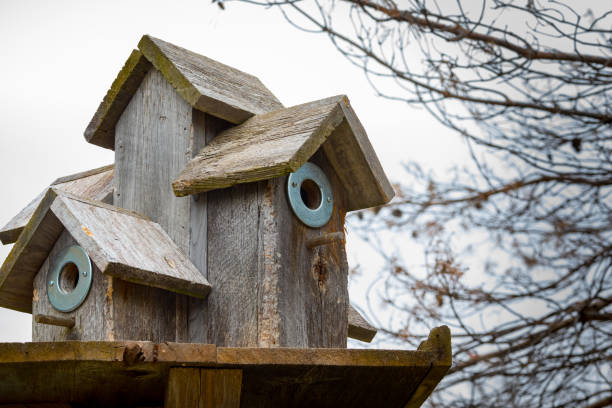 istock Old rustic wooden bird house 1356600076