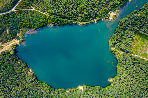 Aerial view of wild forest lake in summer. Small blue lake in gr in Łowicz, Łódź Voivodeship, Poland