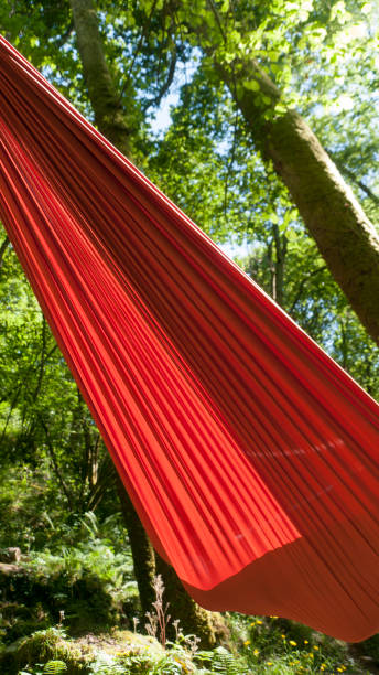 istock Red hammock hanging in green forest 1356608392