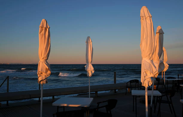 istock Closed umbrellas at a beach bar in Valencia 1356611566