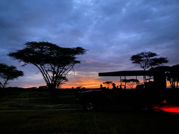 istock Serengeti sunrise 1356612744