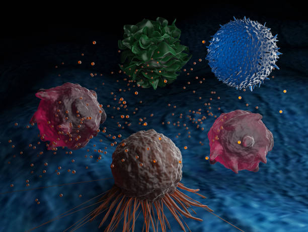 istock A cancer cell secreting exosomes that regulate various immune cells 1356613984
