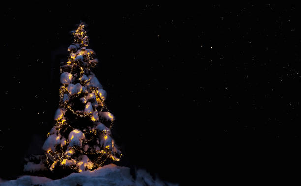 Luminous Christmas tree with a belueuchtend hut on a winter night with snow