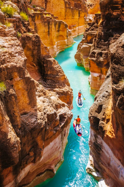 Two people on stand up paddleboards in Havasu Creek, Arizona. Two people are paddling stand up paddleboards on Havasu Creek near its junction with the Colorado River. paddleboard stock pictures, royalty-free photos & images