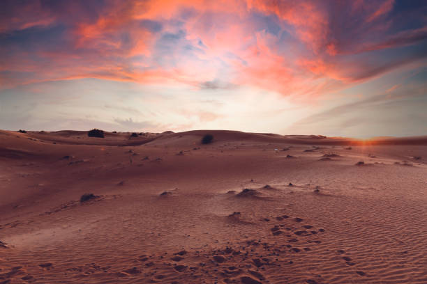 Desert in the United Arab Emirates at sunset