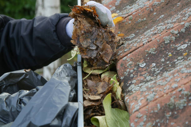 istock Cleaning the gutter from autumn leaves before winter season. Roof gutter cleaning process. 1356621784